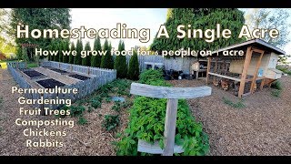 Our 1 Acre Homestead  How We Micro Farm [upl. by Yetta116]