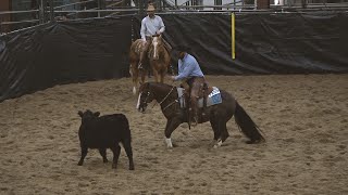 AQHA Ranch Cutting [upl. by Narf593]