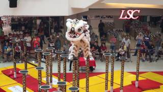 Genting Lion Dance  2017 Central Region Champion [upl. by Ymerej]