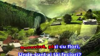 GRIGORE LESE  CANTA CUCUL BATAL VINA Karaoke Romanesti [upl. by Quickel]