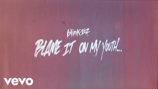 blink182  Blame It On My Youth Lyric Video [upl. by Aretse]