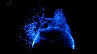 Bioluminescence Bioluminescent water [upl. by Elsie]