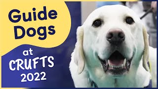 Guide Dogs at Crufts 2022 [upl. by Arim]