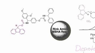 Fmoc Solid Phase Peptide Synthesis [upl. by Fidelia]