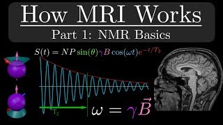 How MRI Works  Part 1  NMR Basics [upl. by Som]