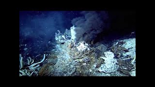 The Deepest Place On Earth Mariana Trench  Documentary [upl. by Anaiq456]