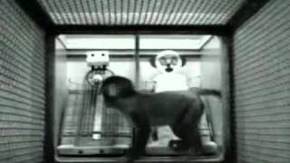 Harry harlow amp rhesus monkeys  developmentmp4 [upl. by Latsyek725]