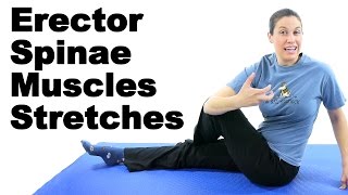 Erector Spinae Muscles Stretches  Ask Doctor Jo [upl. by Eissed]