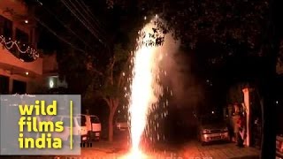 Bursting crackers on Diwali [upl. by Lorne]