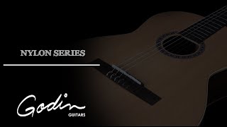 Godin Nylon Series [upl. by Imugem]