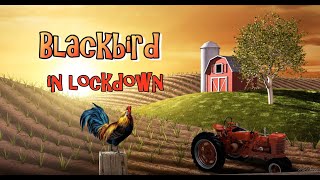 The Wurzels  Blackbird Lockdown 2020 [upl. by Ahsiket]