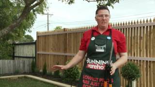 How To Trim Hedges  DIY At Bunnings [upl. by Merrow]