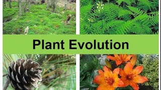 Plant Evolution updated [upl. by Elleon452]