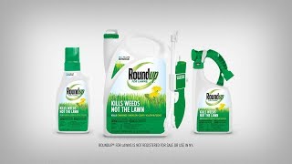 How to Use Roundup® For Northern Lawns Products Properly to Kill Weeds in Your Lawn [upl. by Rayham]