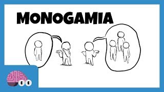 MONOGAMIA E POLIGAMIA [upl. by Berman]