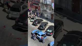 Caso Pitbull ucciso a Napoli  Video 2 [upl. by Neomah]