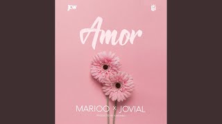 Mi Amor feat Jovial [upl. by Banquer]