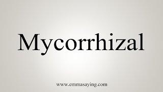 How To Say Mycorrhizal [upl. by Haduhey231]