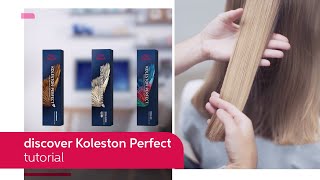 Everything You Need to Know About Koleston Perfect  Wella Professionals [upl. by Nitneuq272]