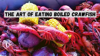 How To Eat Boiled Crawfish  The Cajun Way [upl. by Simonetta]