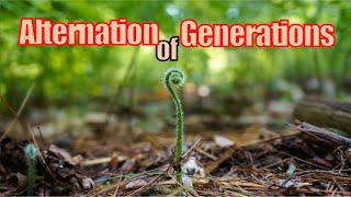 On Alternation of Generations [upl. by Moreen]