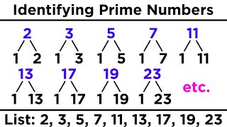 Divisibility Prime Numbers and Prime Factorization [upl. by Mia]