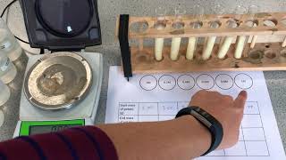 B1 Osmosis REQUIRED PRACTICAL with RESULTS [upl. by Aiksa151]