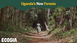 Uganda’s New Forests  Ecosia [upl. by Etteniuq]