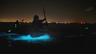 Experience Bioluminescence on Floridas Space Coast [upl. by Enylecoj435]