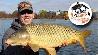 How to catch carp  carp fishing tips and techniques  carp bait [upl. by Aila]