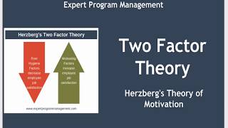 Two Factor Theory  Herzbergs Theory of Motivation [upl. by Pandich]