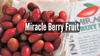 Tasting Miracle Berry Fruit – Fruity Fruits [upl. by Hyde]