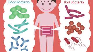 Common Food Poisoning Bacteria part 1 [upl. by Hunger]