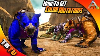 BEST WAY TO GET COLOR MUTATIONS ARK Mutation Guide E1  Ark Survival Evolved [upl. by Inatirb]