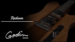 Godin Radium Winchester Brown Studio Demo [upl. by Netram]