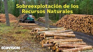 SOBREEXPLOTACIÓN DE LOS RECURSOS [upl. by Adnilev980]