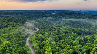 Amazon rainforest  Ecosystems [upl. by Naesad]