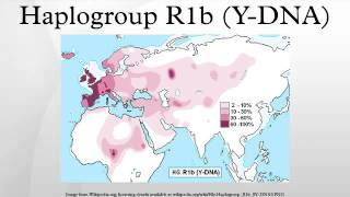 Haplogroup R1b YDNA [upl. by Farand]