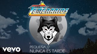 Los Temerarios  Nunca Es Tarde Animated Video [upl. by Gladdy]