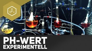 pHWert experimentell bestimmen [upl. by Constantine]