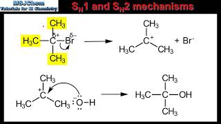 R349 SN1 and SN2 mechanisms HL [upl. by Lovel]