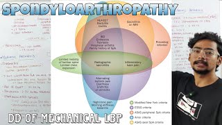 Introduction to SPONDYLOARTHRITIS  Rheumatology [upl. by Emerald]