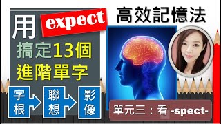 單元三【看】spect  用字根輕鬆背單字 多益 托福 學測 指考單字  英文單字三十六記 [upl. by Shane]