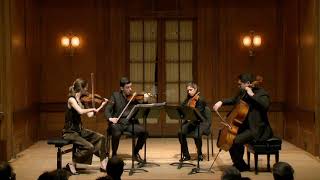 Vera Quartet HAYDN — Quartet in G major Op 76 No 1 [upl. by Yevrah]