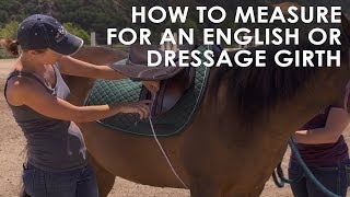 How To Measure Your Horse for English amp Dressage Girth Size [upl. by Morlee]