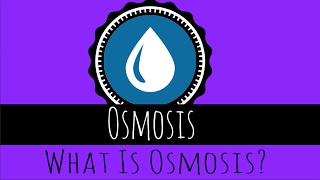 Osmosis  What Is Osmosis  GCSE Biology [upl. by Athena590]