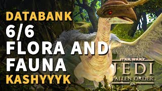 Flora and Fauna Kashyyyk All Databank Locations Star Wars Jedi Fallen Order [upl. by Liz]