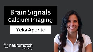 Brain Signals Calcium Imaging [upl. by Neumark531]