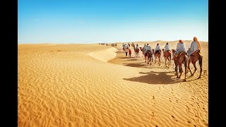 The Trans Saharan Trade Routes Part 1 [upl. by Epuladaugairam]