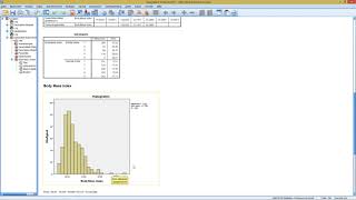 SPSS  Explorative Datenanalyse [upl. by Itirahc]